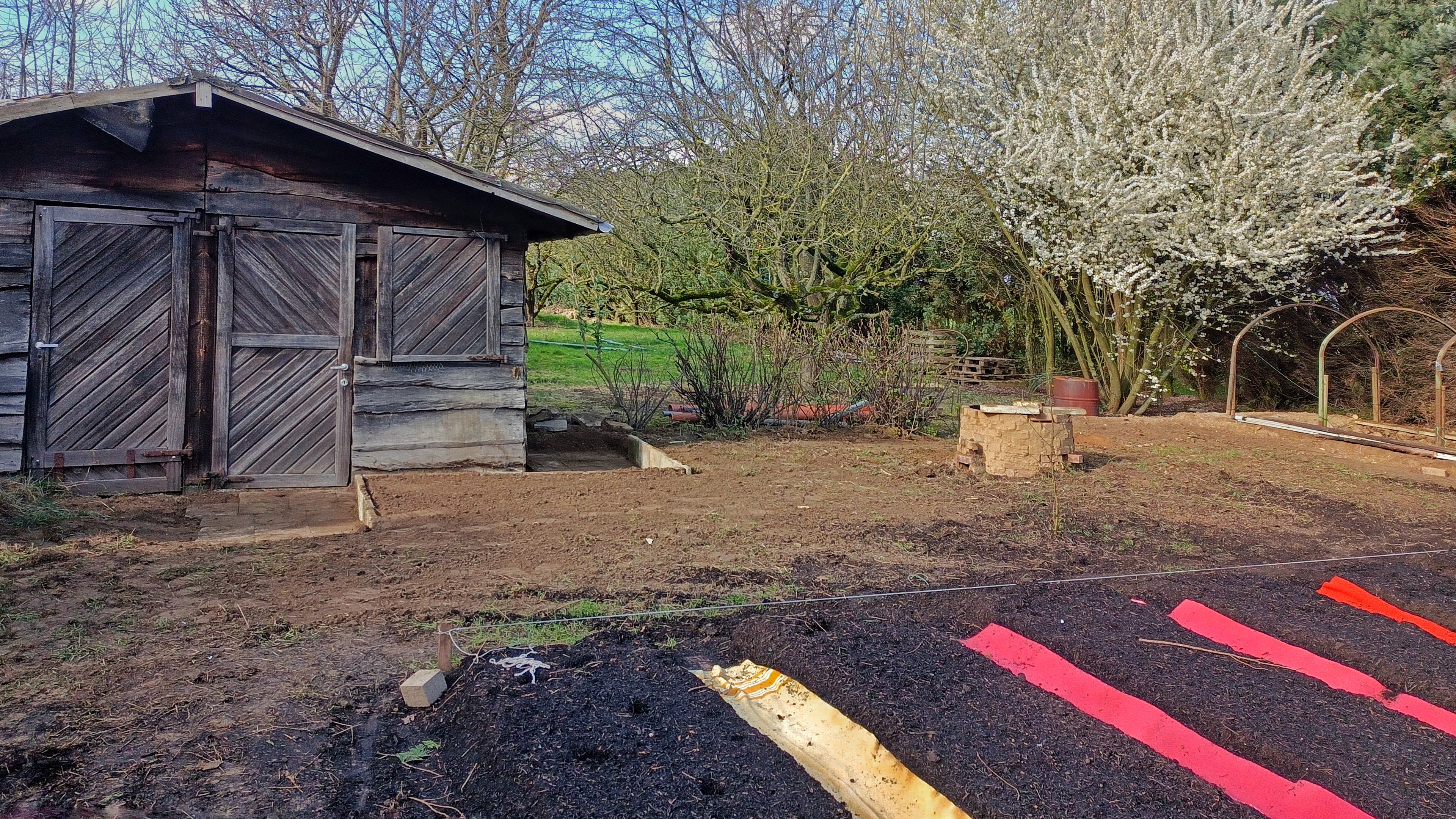 De tuin van Aarden met het houten tuinhuis en bloeiende struiken.